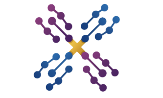 Diverse Hub Academy